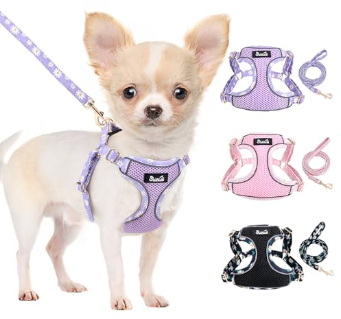 Eyein Hundegeschirr Kleine Hunde mit Leine, Atmungsaktiv Air Mesh Brustgeschirr mit reflektierenden Streifen, Verstellbarer Step-in Geschirr für extra kleine/kleine mittelgroße Hunde (Lila, XS)