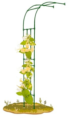 Arche de jardin pour plantes grimpantes, treillage en métal, pergola, support mural, disponible en noir, blanc et vert (180 x 240 cm)