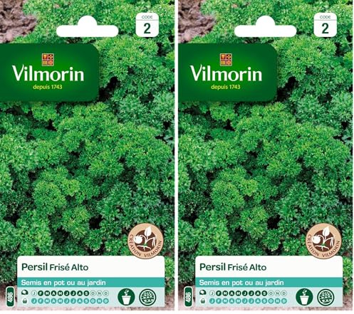 Vilmorin 3182670127915 3801542 Persil Frise Alto Creation, Vert, 90 x 2 x 140 cm (Lot de 2)