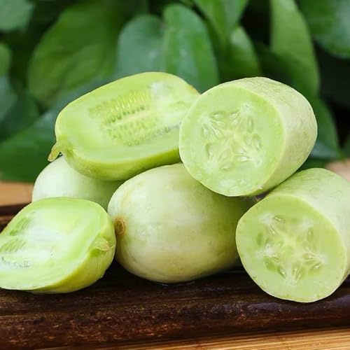 semillas de pepino pepino - cucumis sativus - interior, para balcón pepinos de pepino exóticas resistentes, decoración 200pcs