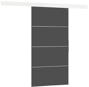 Mirjan24 Schiebetür Multi Plus 100 mit Selbstschließer (Graphit) | Komplettes Schiebetür-Set mit Aluminiumgriff, Ziereinsätzen und kugelgelagertem Laufsystem, links oder rechts montierbar