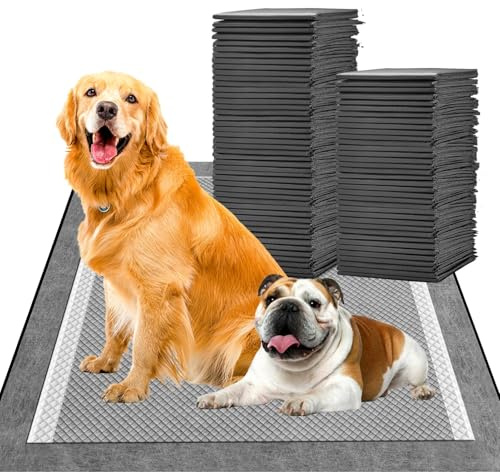 MIZOK Charcoal Puppy Pads Odor Control Leak Proof XL 71x86cm 40 Pack | Super Absorbent Dog pads with Adhesive Tabs, Dog Potty Pads, Heavy Duty, Quick-Dry Surface, Disposable