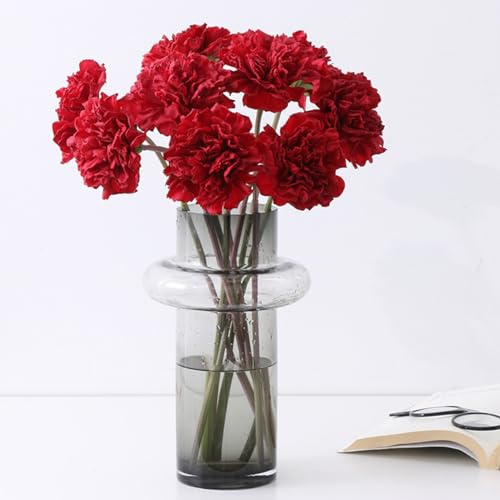 SoHha 10pcs Real Touch Artificial Carnation Flower，Silk Faux Flowers, Fake Carnation for Funeral Arrangements, Wedding Bouquets, Cemetery Wreaths (red)