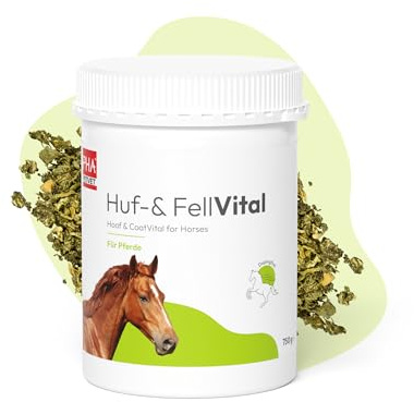 PHA Huf & Fell Vital Pulver Pferd, Biotin, Zink & DL-Methionin, 750 g | Aus Deutschland, unterstützt starke Hufe & glänzendes Fell, ideal beim Fellwechsel, mit wertvollen Nährstoffen für Pferde