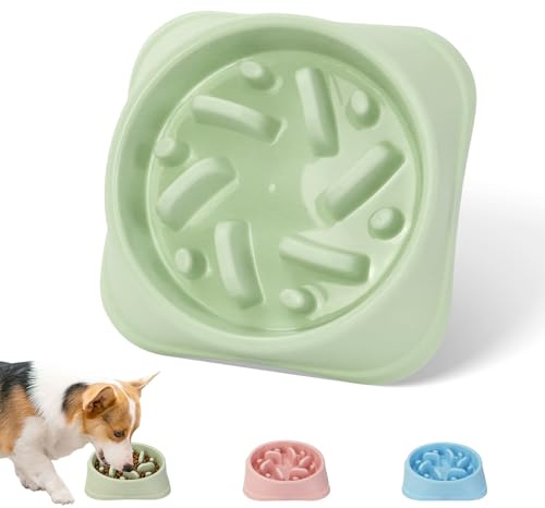 QUMENEY Comedero Lento para Perros, Rompecabezas Antideslizante para Mascotas, Platos de alimentación más lentos, Duradero Que Evita la Asfixia