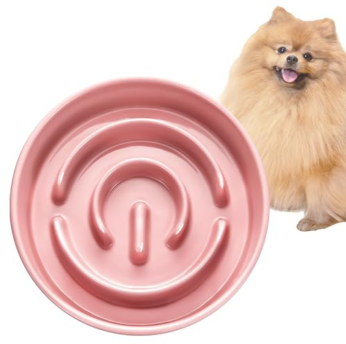 MOPANG Ciotole Anti Ingozzamento per Cani, Ciotola Anti Ingozzamento per Gatti, Ciotole in Ceramica per Cani di Piccola Taglia, Rosso Salmone