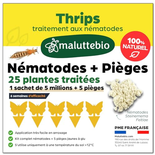 Pack Anti-Thrips : Nematodes 5 Millions + 5 Pieges Jaunes Collants - Traitement Biologique Efficace pour 25 Pots - Action Longue Durée Contre les Larves et Adultes