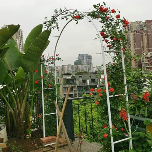 Gartenbogen aus Stahl, Rankgitter, Hochzeitsbogen für Zeremonie, Party, Rosenbogen, Outdoor-Hof, Dekoration für Kletterpflanzen, 300 cm breit, weißer Sockel im Lieferumfang enthalten
