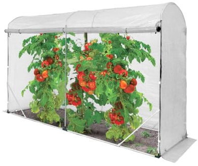 Tomaten Gewächshaus-Tunnel, Weiß, 3x1,8 m, PE-Abdeckung 130 g/m² mit UV4-Schutz, Verzinkter Stahlrahmen 16 mm (Weiß)
