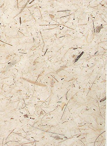 Clairefontaine 98207C - Étui de 10 Feuilles de Papier Banane Coloris Nature - Format 65x95cm - Fabrication Artisanale - Papier Souple, Doux et Résistant - Loisirs Créatifs, Décoration, Emballage