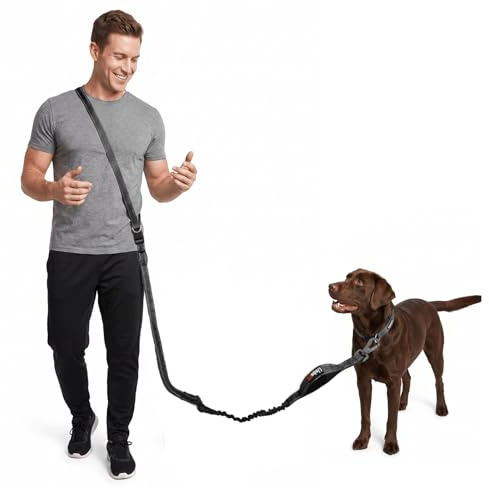 LiebeDD Guinzaglio da jogging per cani con ammortizzatore, regolabile, 3 m, con manico libero, per cani di taglia media e grande, fino a 50 kg, riflettente, per camminare, fare jogging, viaggi in auto