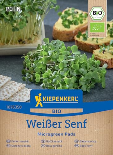 Kiepenkerl BIO Microgreen Pads Senfsamen 1076350, Gemüsesaat | Weißer Senf, Kinderleicht, Microgreens, Nachfüllpad