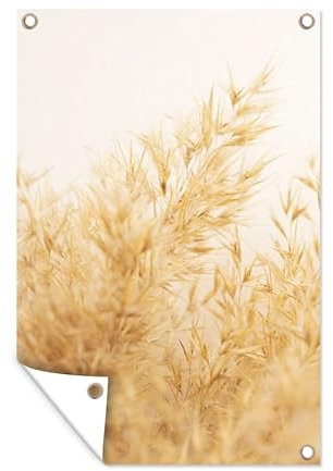 MuchoWow Poster exterieur Herbe de la pampa - Soleil - Herbe Decoration murale 80x120 cm Résistant aux intempéries/soleil