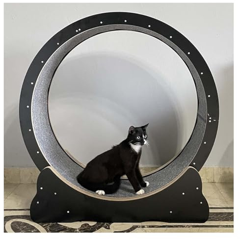 BTYQKZVPM Laufrad für Haustiere, Katzenlaufrad, schwarz, Verschiedene Größen(110cm/43.3)