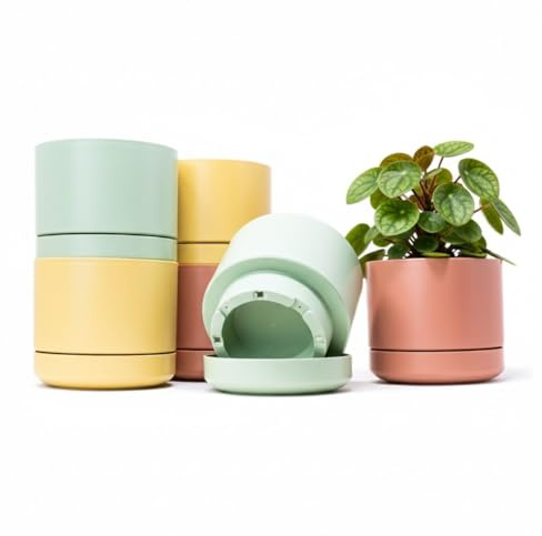 Vasi Fiori Plastica da Esterno Interno 14 cm | Set di 6 Vasi, Pastello