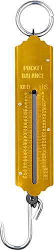fiXte Bilancia meccanica da appendere a molla, 50 kg, resistente, da appendere, per viaggi, bagagli, spesa, pesca