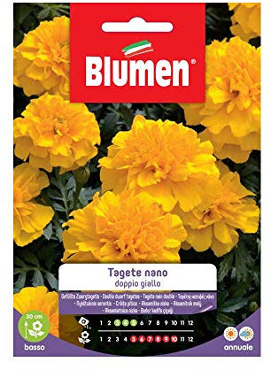 SEMI TAGETE NANO DOPPIO GIALLO BLUMEN