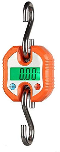 Mini Bilancia Elettronica da 150 kg, Bilancia Portatile LCD per Amo da Pesca Bilancia da Viaggio Digitale per Bagagli postali