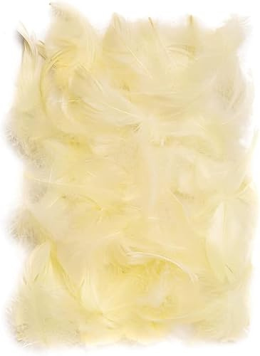 Netuno 150 Plumas Decorativas Crudo 10g Manualidades Decoración Atrapasueños Fiestas Pascua Navidad Bricolaje Hogar Bodas Cumpleaños Decoraciones Árbol Mesas Proyectos Creativos | 10 g. Plumas decorativas esponjosas para manualidades, decoración de fiestas, atrapasueños, máscaras
