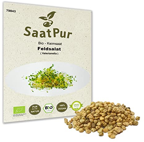Bio Sprossen Samen Feldsalat - 100% Bio Keimsprossen - Microgreens mit hoher Keimkraft - Sprossensamen für Sprossenglas & Keimschale - Lebensmittel Qualität