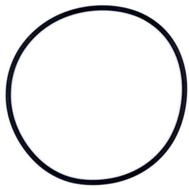 O-Ring Ø 145 x 8 mm für den Spannring der OKU ECO und Bali Sandfilteranlage