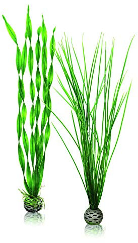 biOrb Jeu de plantes L en vert