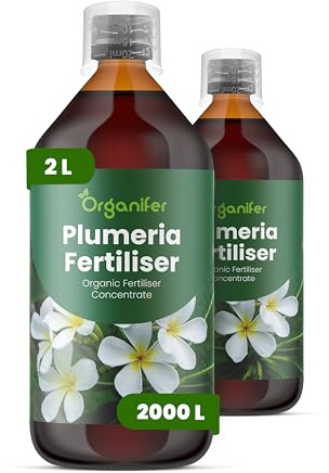 Engrais liquide organique 2x1L pour frangipanier – plantes robustes et racines fortes – Organifer