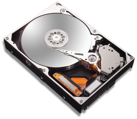 Maxtor 6L250R0 DiamondMax 10 interne Festplatte 250GB bulk ATA (IDE) 7200rpm 16MB Cache