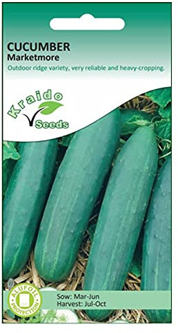 Cucumber Seeds Marketmore Cucumis Sativus 50 Seeds Standard Slicing Salad Cucumber Grow Your Own Vegetables Perfect for Greenhouse or Outdoor Growing