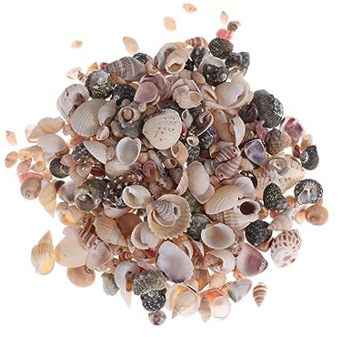 BESPORTBLE 1 Packung Aquariumdekoration natürliche Wohndekoration Fisch Aquarium Dekoration Kinder Aquarium Dekoration Muscheln DIY Dekoration Einrichtung im Meeresstil Muschelornamente
