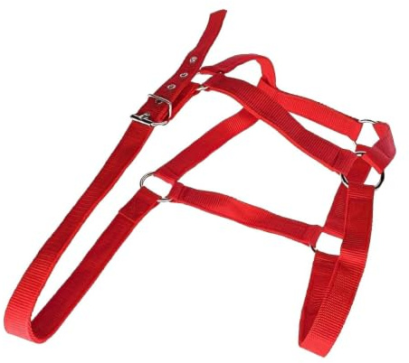 Cabestro Ajustable Para Caballos Atrezzo Ajustable Para Pastoreo Y
