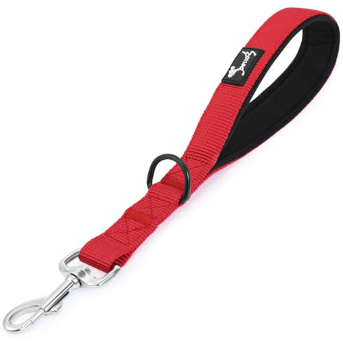 PETTOM Kurzführer Hund Nylon 32cm | Kurze Hundeleine aus Nylon, für kleine bis große Hunde, robust, leicht zu reinigen, ideal für Training & Spaziergänge, rot
