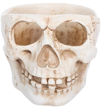 YARNOW 1 Pc Maceta De Calavera Maceta Creativa Plantador De Cabeza De Calavera Cosas Geniales De Menos De 10 Libras Suculento Maceta con Cabeza De Calavera Exterior Talla De Hueso Resina