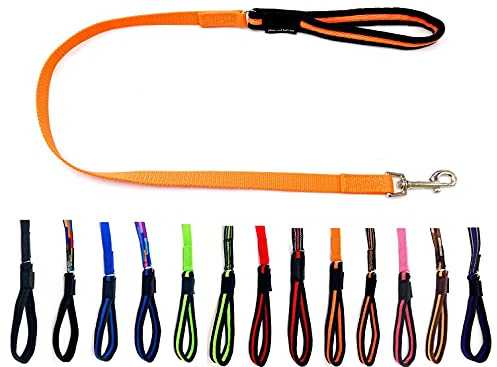 Hundeleine mit WEICHER und GEPOLSTERTER Handschlaufe für mittlere & große Hunde 1m - 10m (1m, Orange)