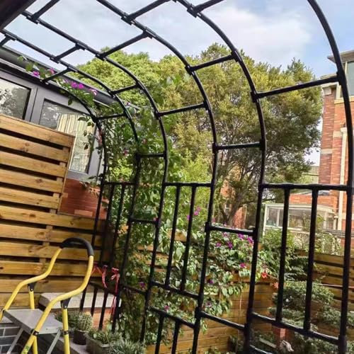 Junvstor Arche de jardin en métal pour plantes grimpantes, pergola pour pelouse et jardin, treillis en fer, tonnelle de jardin pour fleurs (l 120 x H 240 cm)