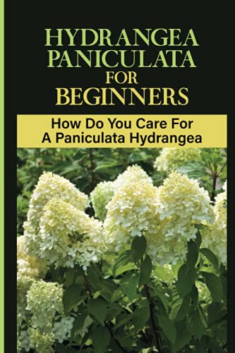 Hydrangea Paniculata For Beginners: How Do You Care For A Paniculata Hydrangea: How To Grow Hydrangea Paniculata At Home