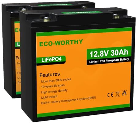 ECO-WORTHY LiFePO4 12V 60Ah Akku (2 Packungen 30Ah) Lithiumbatterie Wiederaufladbar mit über 3000 Mal Tiefzyklen und BMS Schutz für Wohnmobil, Solaranlage, Boot, Haushalt, Solarpanel Kit und Camping