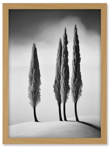 Artery8 Group of Cypress Trees on Snowy Hill Minimalist Black and White Photograph Cypresses in Foggy Winter Landscape Artwork Framed A3 Wall Art Print
