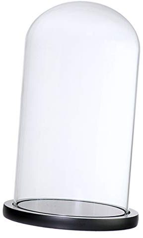 PETSOLA Cupola di Cristallo Decorativa Vaso di Fiori in Vetro Base Vaso di Micro Paesaggio, F nero