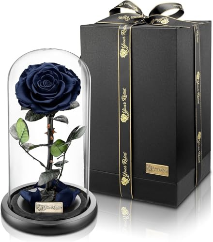 YourRoses® echte Premium Rose im Glas mit Einer wunderschönen Geschenkbox | Lange Haltbarkeit & edles Geschenk als Liebesbeweis | EIN Geschenk vom Herzen