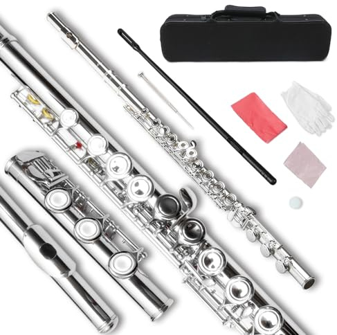 WUQIMUSC Flauta de 17 teclas con agujero cerrado C para principiantes, kit de limpieza con guantes, varilla de afinación de tela, funda rígida de níquel siver, instrumento de flauta de 17 teclas para