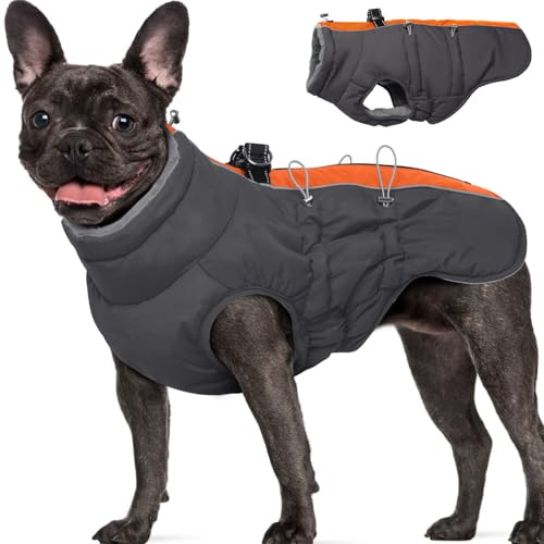 Katzinst Hundemantel Winter, Warm Hundemantel Fleece, Ärmellose Hundejacke Große Hunde, Hundebekleidung Outfit für Dalmatiner, Border Collie, Border Collie, Orange-Grau, L