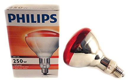 Hartglas Infrarotlampe PHILIPS - 250 W / rot