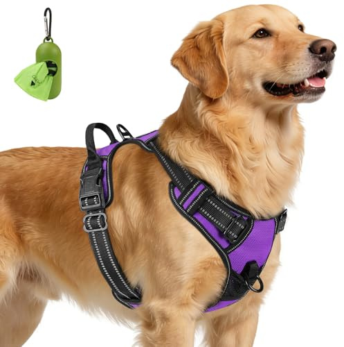 Joytale Anti-Traction Harnais Très Grand Chien, Violet, XL | Coupe ajustée & réglable, rembourré & confortable, 2 points d'attache (avant & arrière), poignée pratique, pour promenade