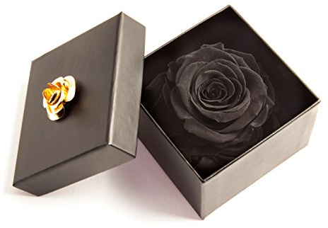 ROSEMARIE SCHULZ Heidelberg Infinity Rose varar 3 år bevarad i roslåda (svart, 1 rosa)