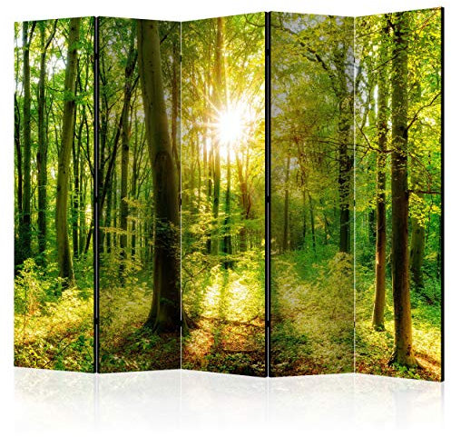 decomonkey Paravent Raumteiler Innen Wald 225x172 cm 5 Teilig Beidseitig Room Divider Wall Raumteiler Stehend Trennwand Sichtschutz Spanische Wand Sichtschutzwand Wohnzimmer Holz Natur Baum