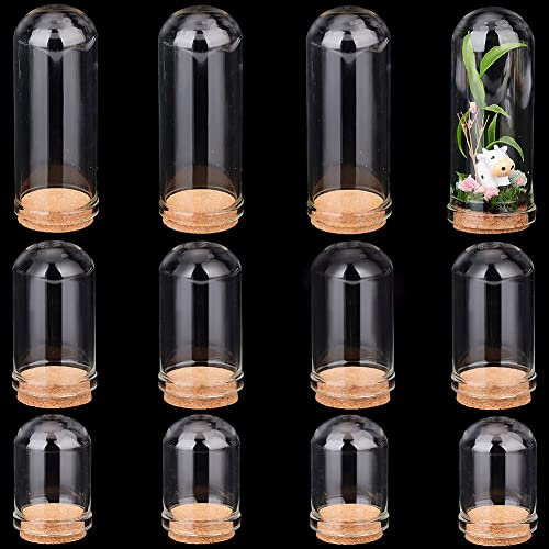 PandaHall 12 Stück Glass Display Dome Cloche 3 Größe Glasglocke Mit Korkboden Glasflaschen Kuppel Dekorative Gläser Vitrine Für Blumenaufbewahrung Zuhause Weihnachtsfeier Dekoration