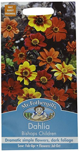 Mr Fothergill's 11018 Flower Seeds, Dahlia Bishops Children, Mixed
