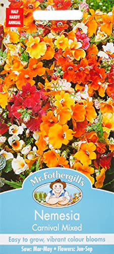 Mr Fothergill?s Seeds Ltd 11583 Flower Seeds, NEMESIA Carnival Mixed