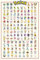 Grupo Erik FP4360 Poster Pokemon Kanto 151, carta, Multicolore, 91 x 61,5 x 0,1 cm, Studio